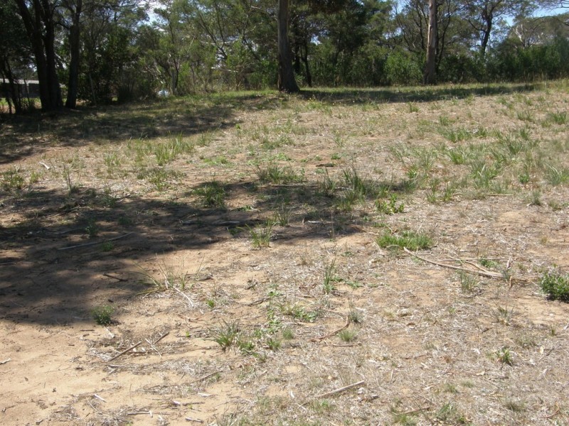 6 Eastlaugh Street, Dodges Ferry TAS 7173