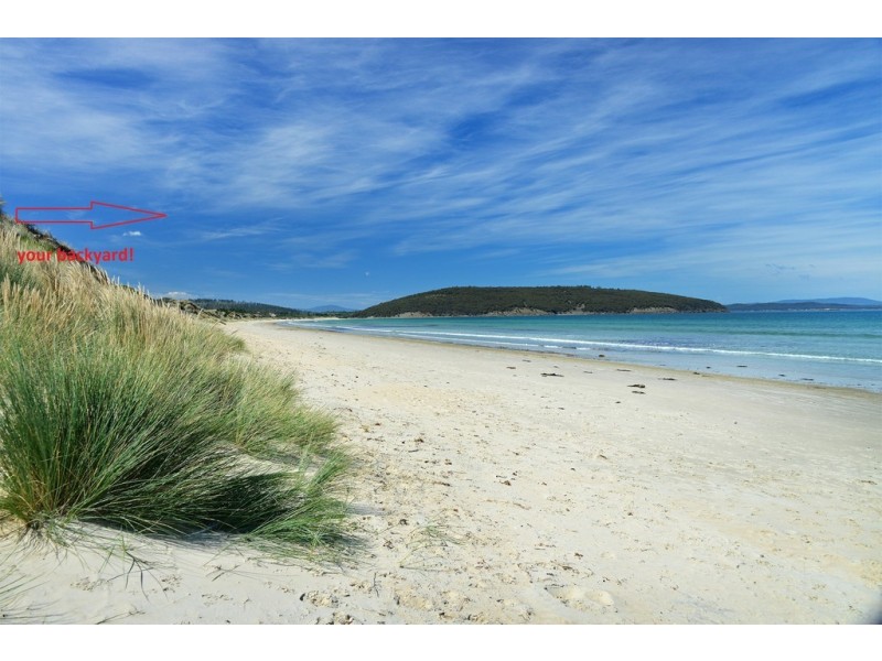 167 Carlton Beach Road, Dodges Ferry TAS 7173