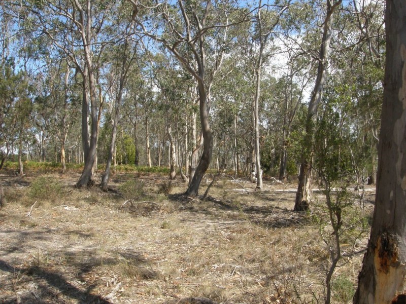 Lot 6 Gillingbrook Road, Forcett TAS 7173