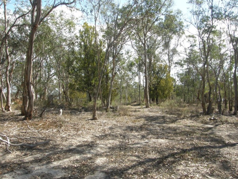 Lot 6 Gillingbrook Road, Forcett TAS 7173