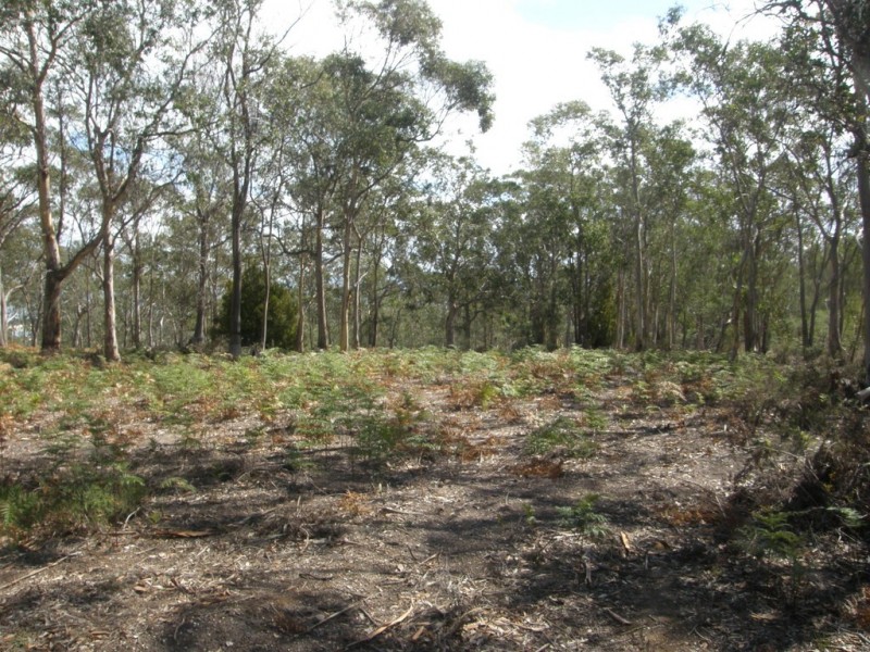Lot 6 Gillingbrook Road, Forcett TAS 7173