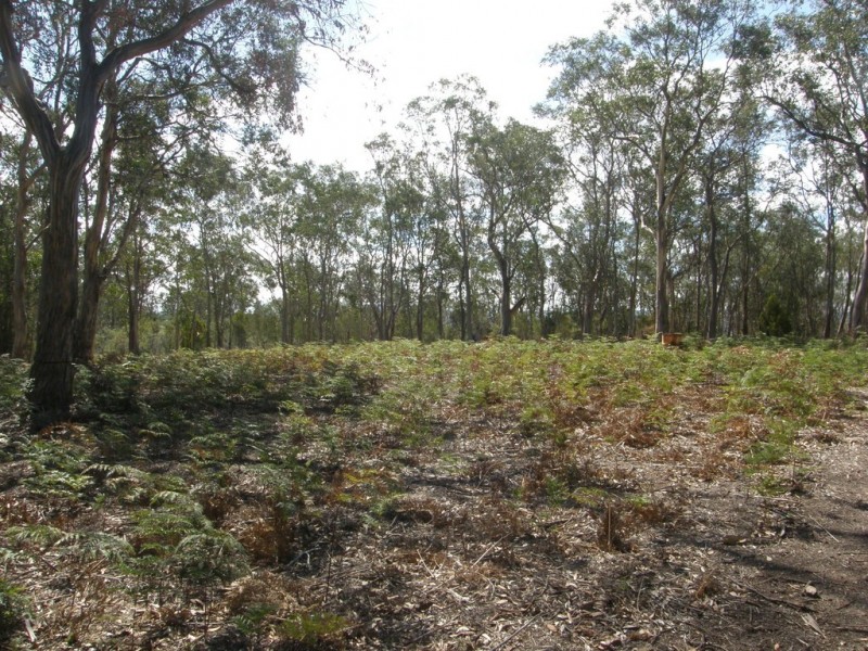Lot 6 Gillingbrook Road, Forcett TAS 7173