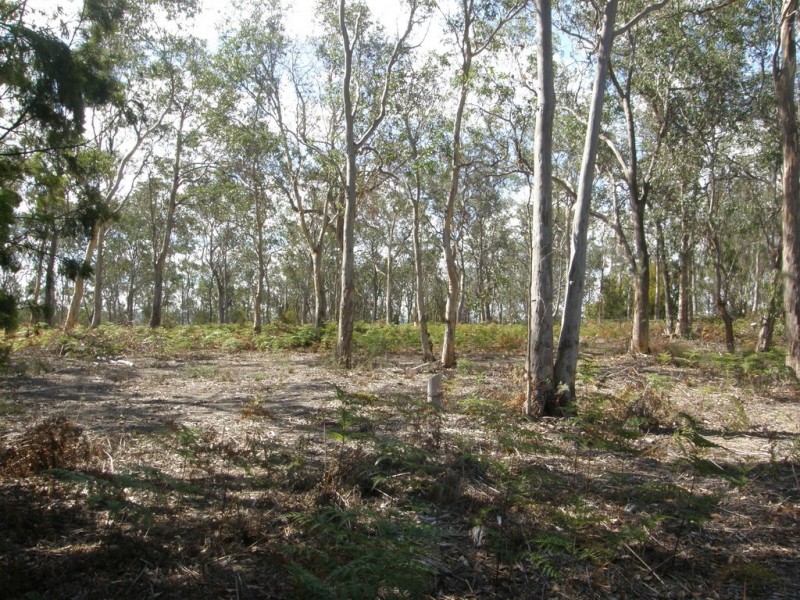 Lot 6 Gillingbrook Road, Forcett TAS 7173