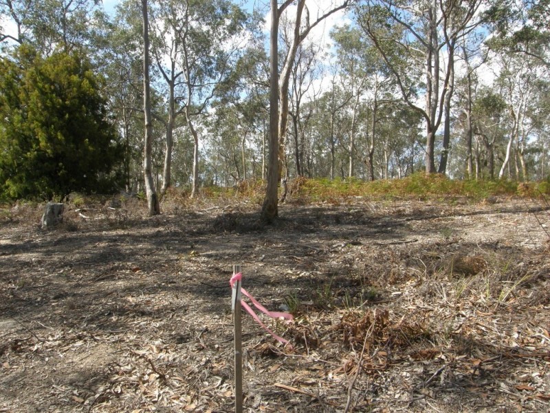 Lot 6 Gillingbrook Road, Forcett TAS 7173