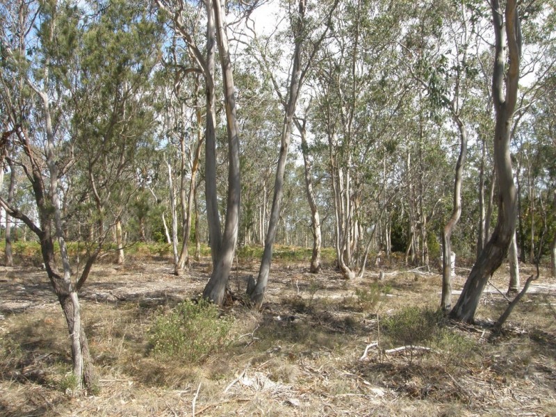 Lot 6 Gillingbrook Road, Forcett TAS 7173