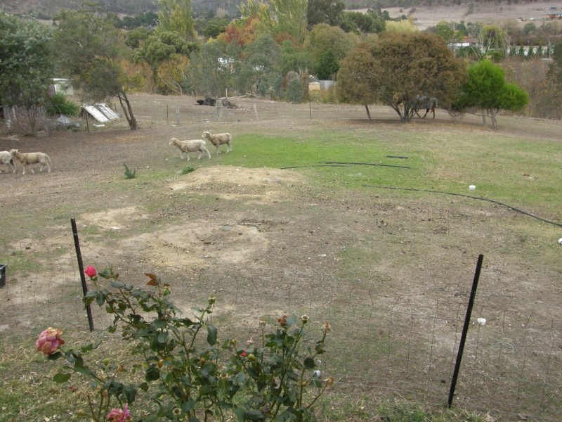 55 Winstead Road, Bagdad TAS 7030