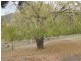 55 Winstead Road, Bagdad TAS 7030