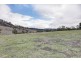 628 Fingerpost Road, Orielton TAS 7172
