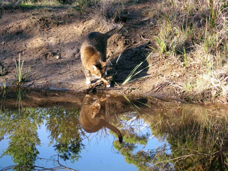 Lot 2/4 Correa Street, Primrose Sands TAS 7173