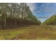 Lots 1 and 2/951 Sand River Road, Buckland TAS 7190