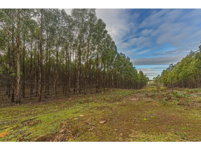 Lots 1 and 2/951 Sand River Road, Buckland TAS 7190