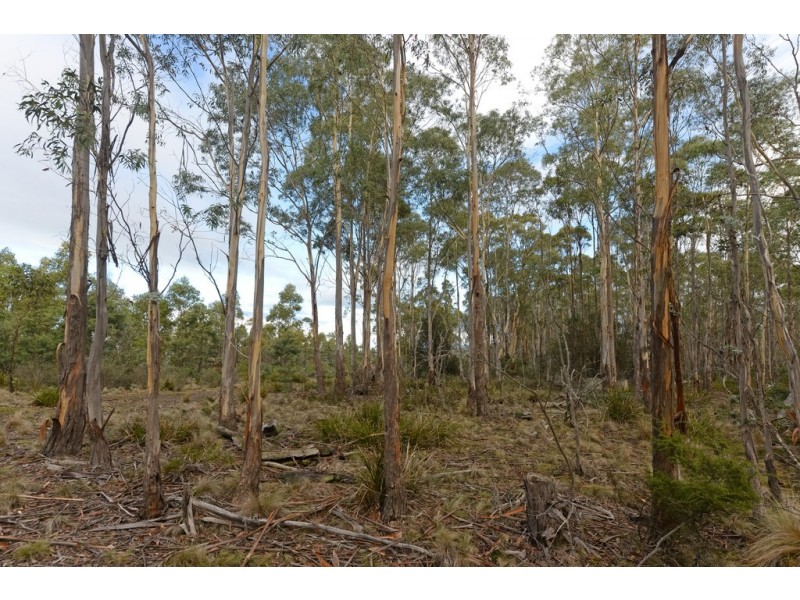 Lots 1 and 2/951 Sand River Road, Buckland TAS 7190