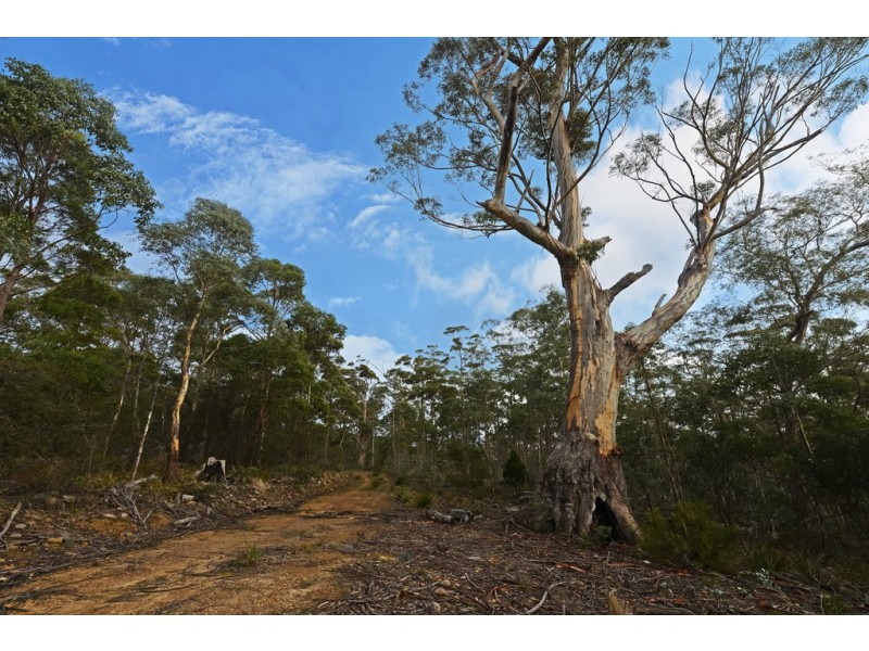 Lots 1 and 2/951 Sand River Road, Buckland TAS 7190