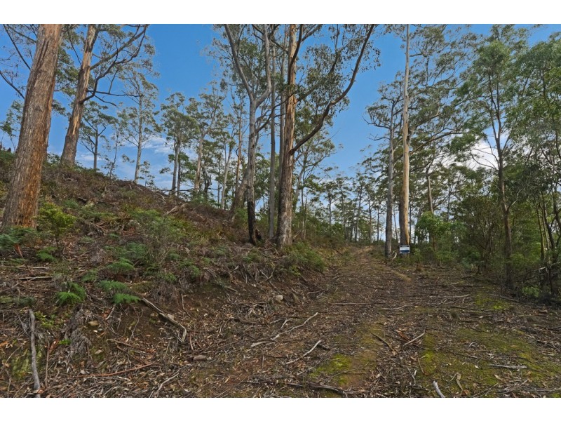 Lots 1 and 2/951 Sand River Road, Buckland TAS 7190