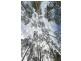 Lots 1 and 2/951 Sand River Road, Buckland TAS 7190