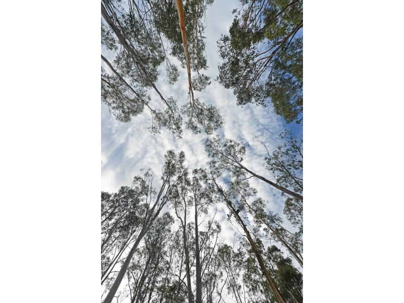 Lots 1 and 2/951 Sand River Road, Buckland TAS 7190
