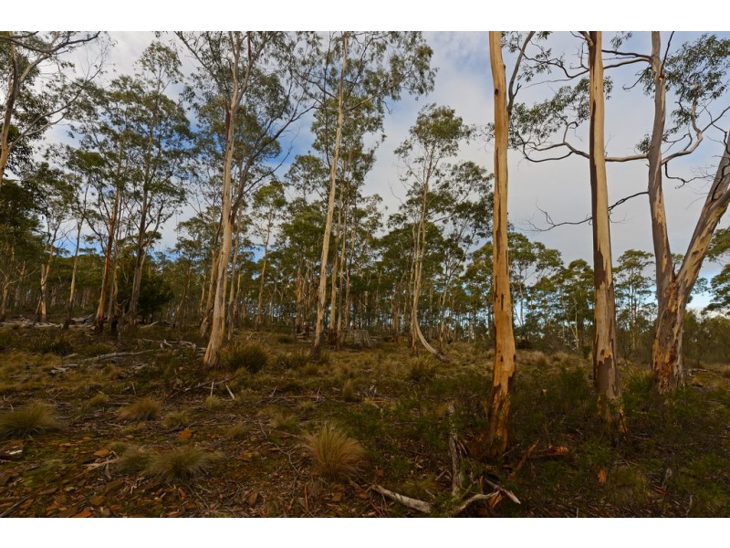 Lots 1 and 2/951 Sand River Road, Buckland TAS 7190