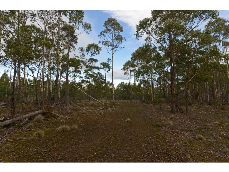 Lots 1 and 2/951 Sand River Road, Buckland TAS 7190