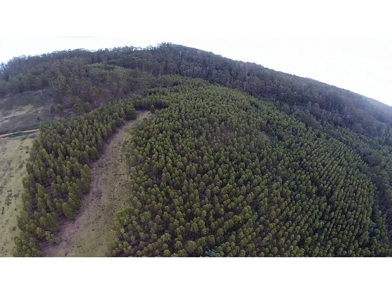 Lots 1 and 2/951 Sand River Road, Buckland TAS 7190