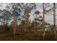 Lots 1 and 2/951 Sand River Road, Buckland TAS 7190