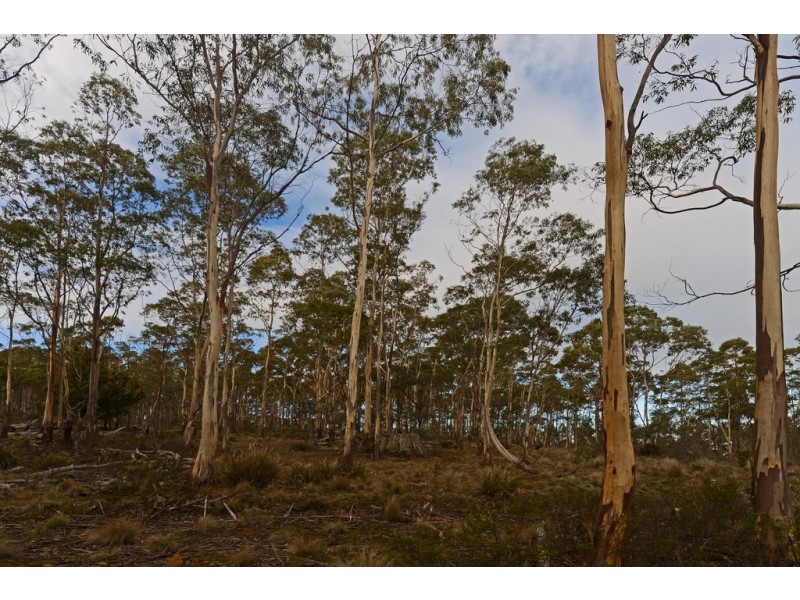 Lots 1 and 2/951 Sand River Road, Buckland TAS 7190