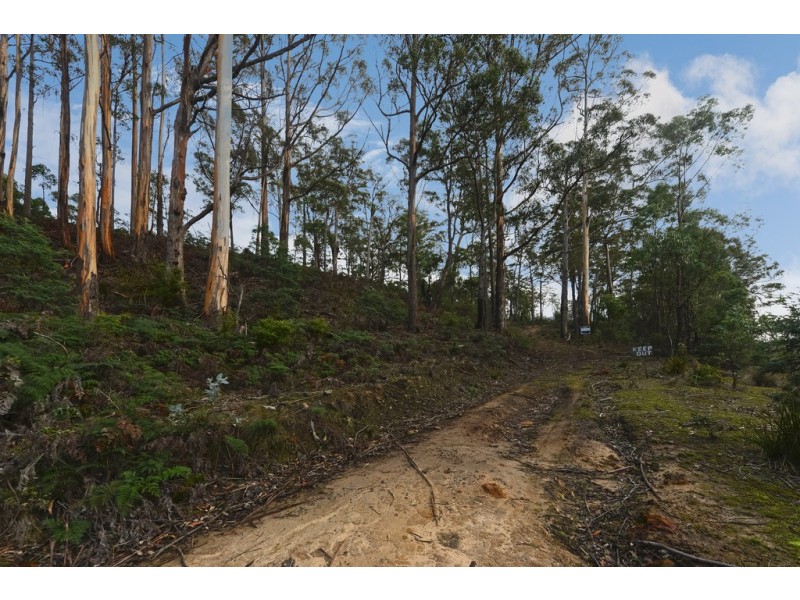 Lots 1 and 2/951 Sand River Road, Buckland TAS 7190