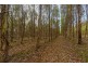 Lots 1 and 2/951 Sand River Road, Buckland TAS 7190