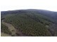 Lots 1 and 2/951 Sand River Road, Buckland TAS 7190