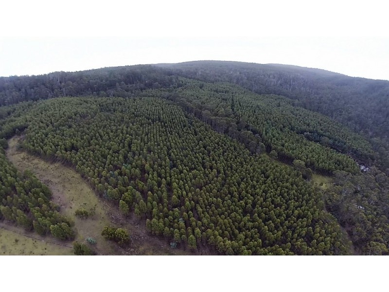 Lots 1 and 2/951 Sand River Road, Buckland TAS 7190
