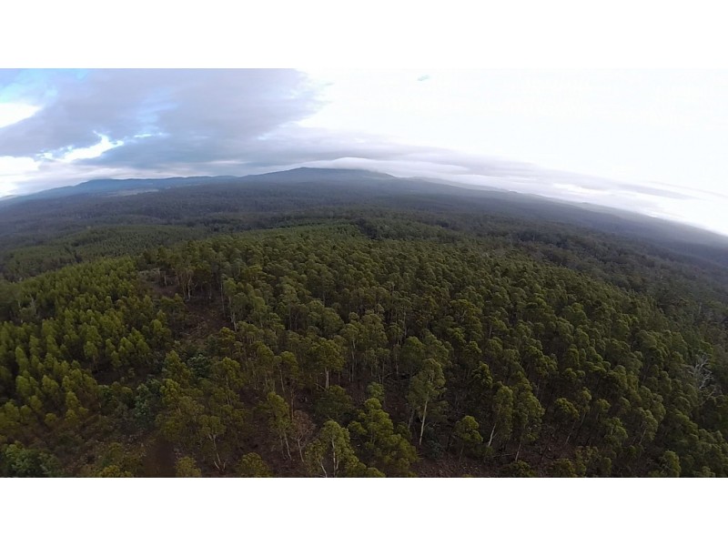 Lots 1 and 2/951 Sand River Road, Buckland TAS 7190