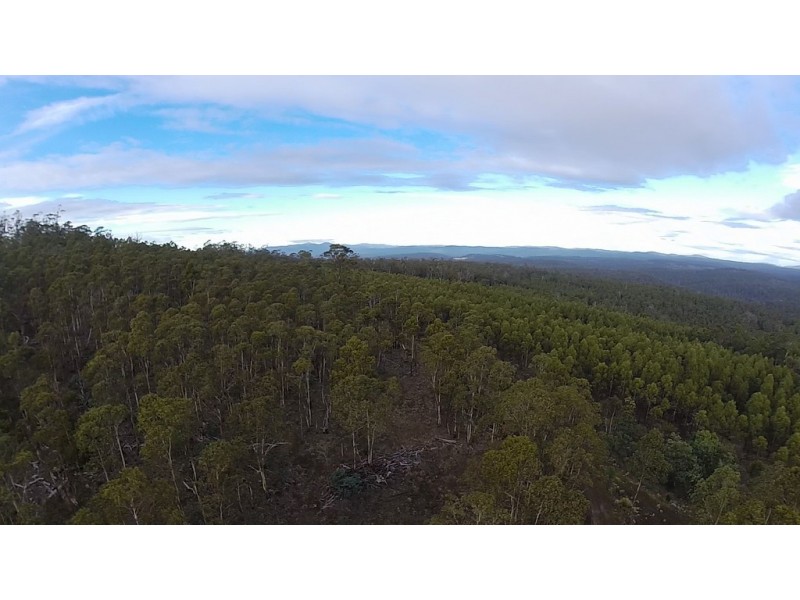 Lots 1 and 2/951 Sand River Road, Buckland TAS 7190