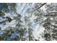 Lots 1 and 2/951 Sand River Road, Buckland TAS 7190