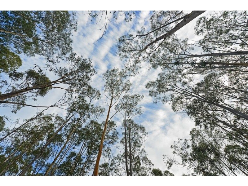 Lots 1 and 2/951 Sand River Road, Buckland TAS 7190