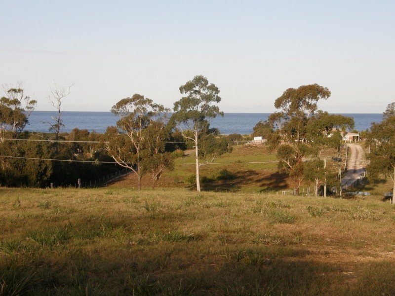 Lot 4 – 23369 Tasman Highway, Scamander TAS 7215