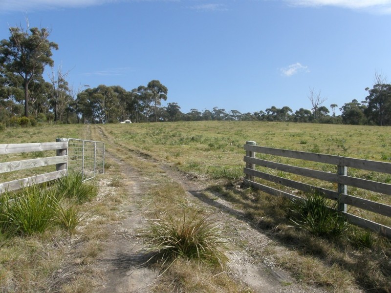 Lot 4 – 23369 Tasman Highway, Scamander TAS 7215