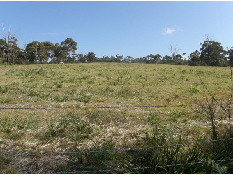 Lot 4 – 23369 Tasman Highway, Scamander TAS 7215