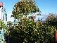 19 Pringle Street, Scamander TAS 7215