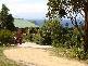 RA21384 Tasman Highway, Four Mile Creek TAS 7215