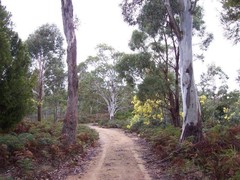 Lot 1 Tasman Highway, Scamander TAS 7215