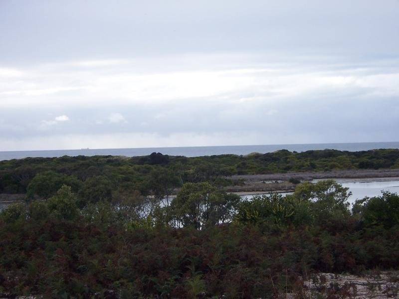 Lot 1 Tasman Highway, Scamander TAS 7215