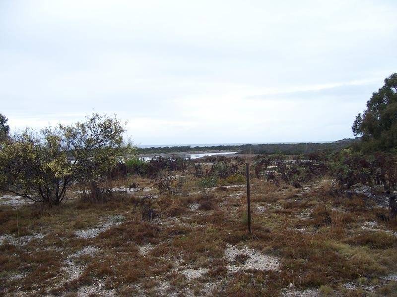 Lot 1 Tasman Highway, Scamander TAS 7215