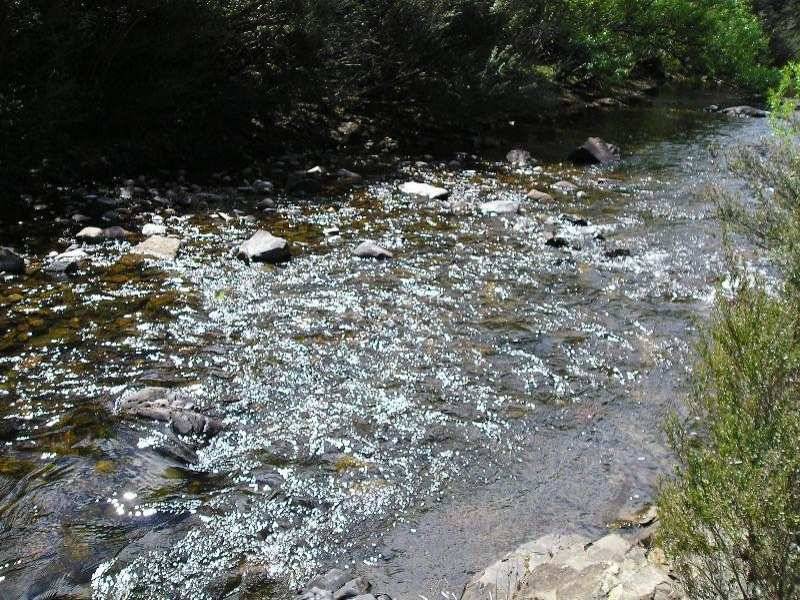 . . Upper Scamander Road, Scamander TAS 7215