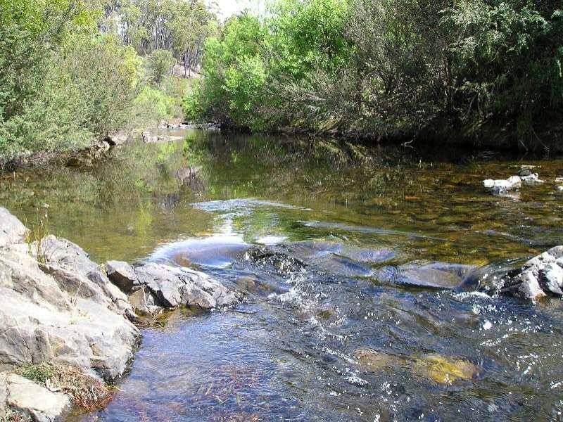 . . Upper Scamander Road, Scamander TAS 7215