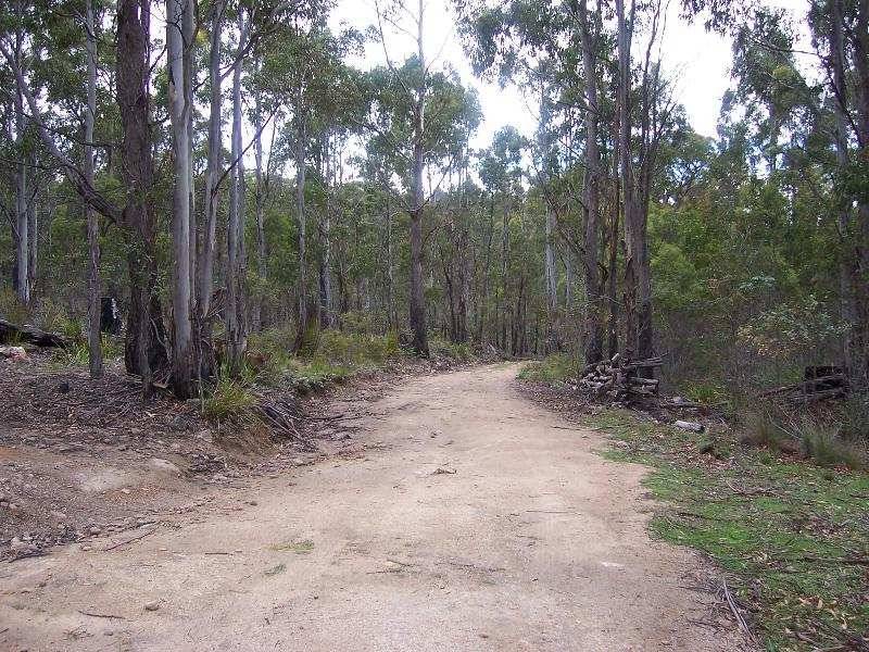 Lot 4 Main Esk Road, St Marys TAS 7215