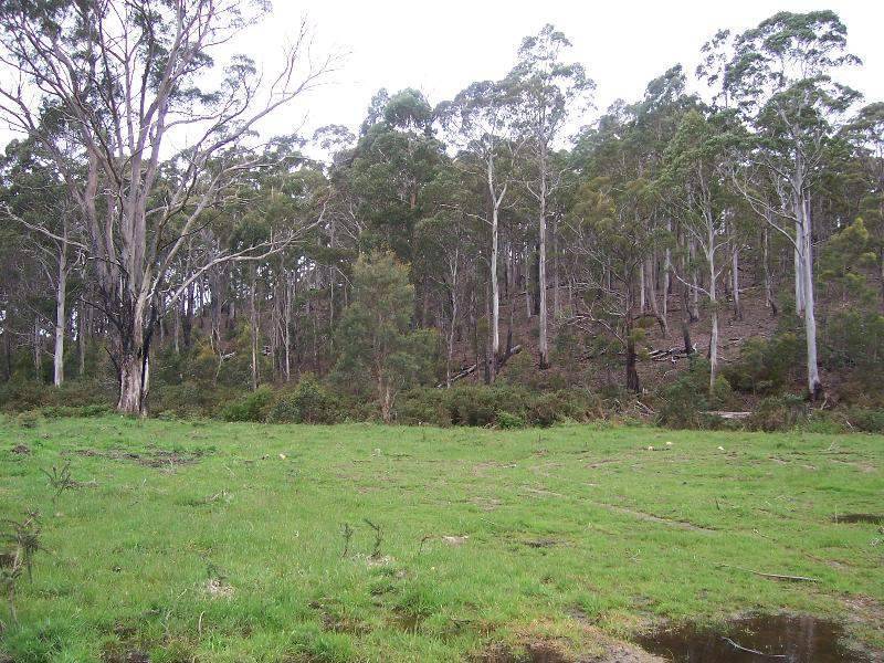 Lot 4 Main Esk Road, St Marys TAS 7215