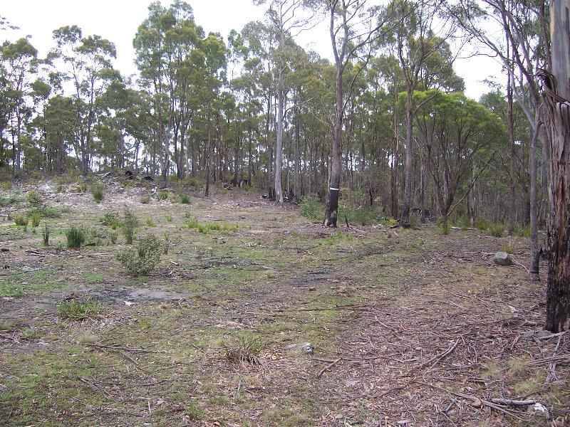 Lot 4 Main Esk Road, St Marys TAS 7215