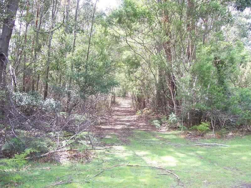 1 Elephant Pass Road, Gray TAS 7215