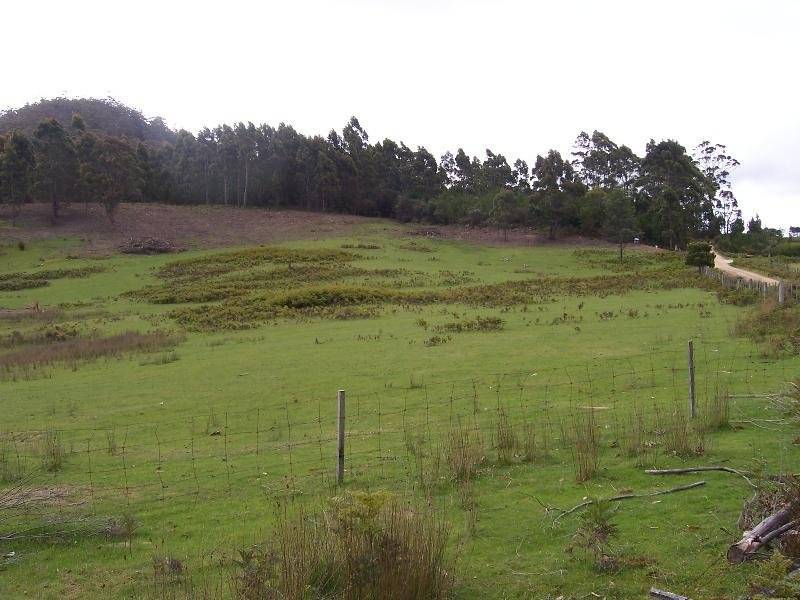 Lot 1 Lower Germantown Road, St Marys TAS 7215