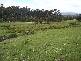 Lot 1 Lower Germantown Road, St Marys TAS 7215