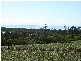 Lot 12 Tasman Highway, Dianas Basin TAS 7215